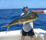 http://upload.wikimedia.org/wikipedia/commons/thumb/c/cf/MahiMahi-bull.jpg/150px-MahiMahi-bull.jpg